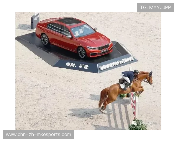 未来之路:夺冠还是季后赛大戏?,未来之路节目 未来之路:夺冠还是季后赛大戏?,未来之路节目